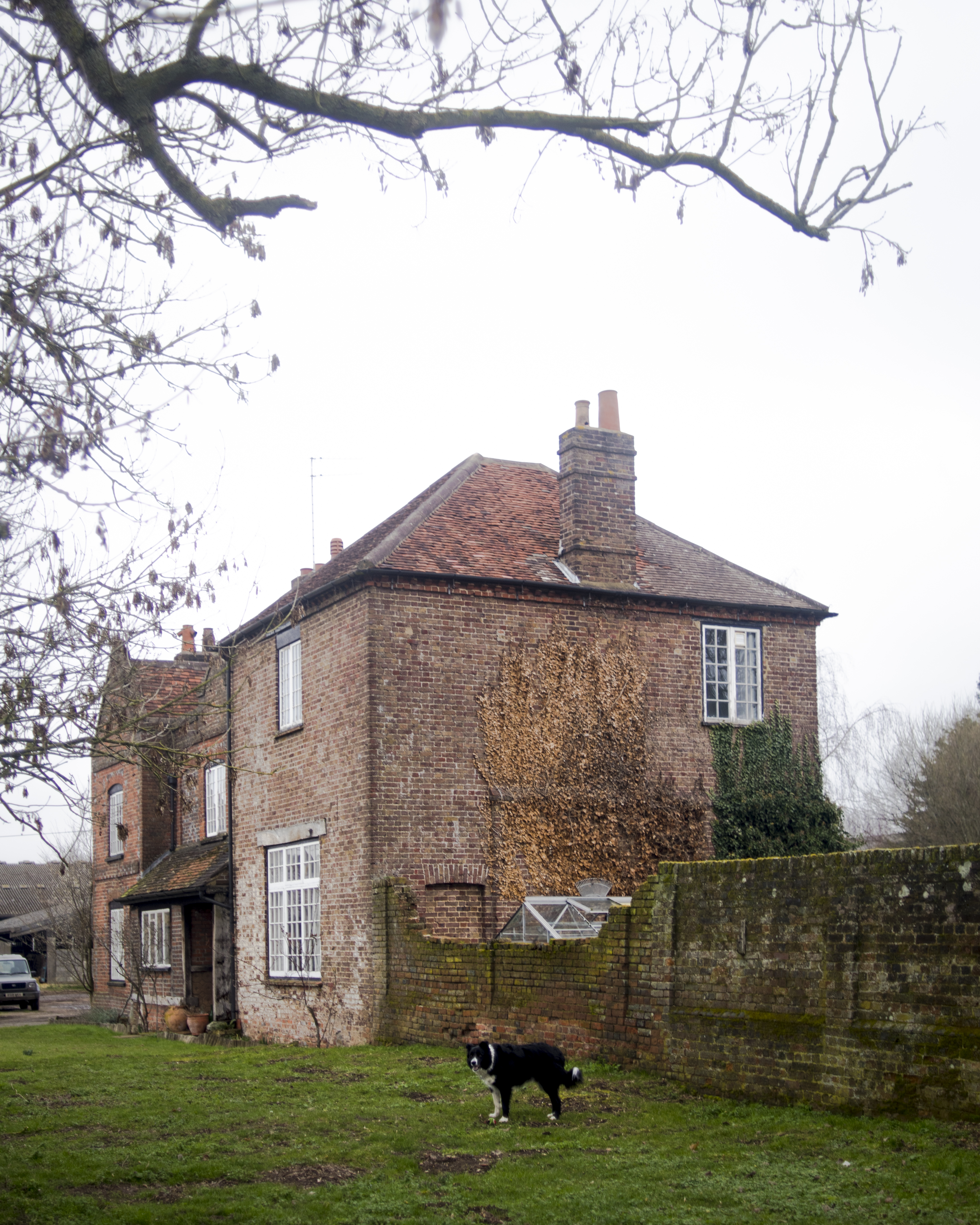 cwf-2 – FarmFest 2019